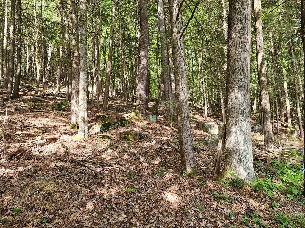 325 Pako Avenue Keene NH 03431
