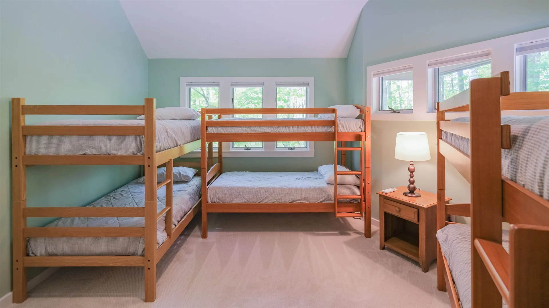 66 Scott's Landing Ludlow VT 05149
