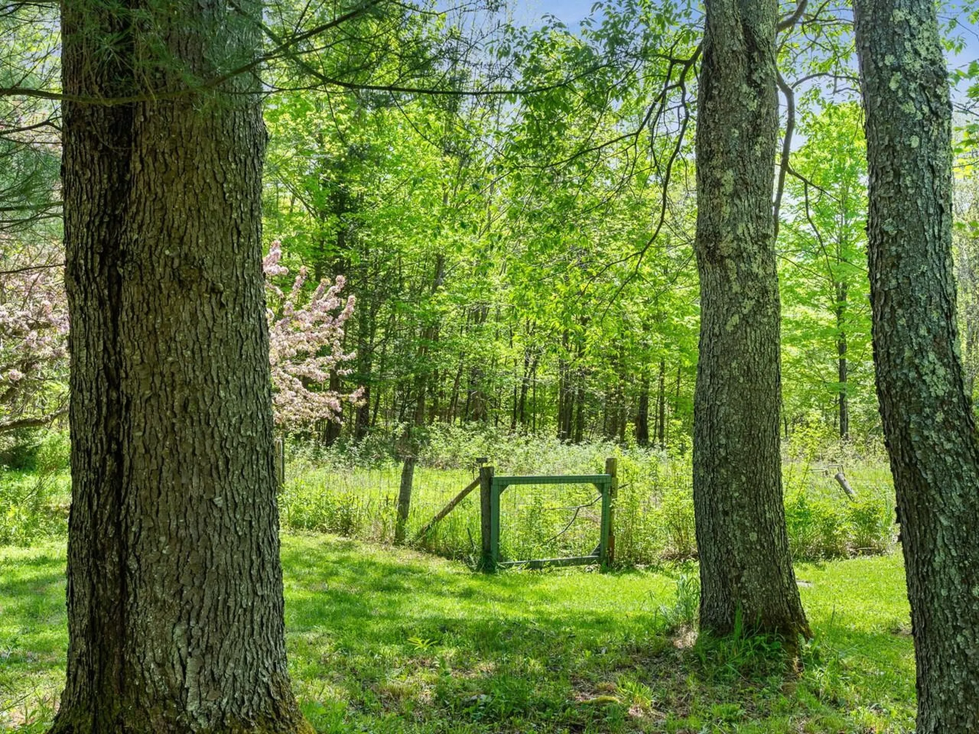 842 County Road Lincoln VT 05443
