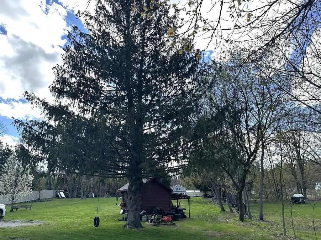 175 Creek Road Castleton VT 05735