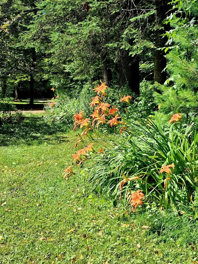 160 Heritage Lane Lyndon VT 05851