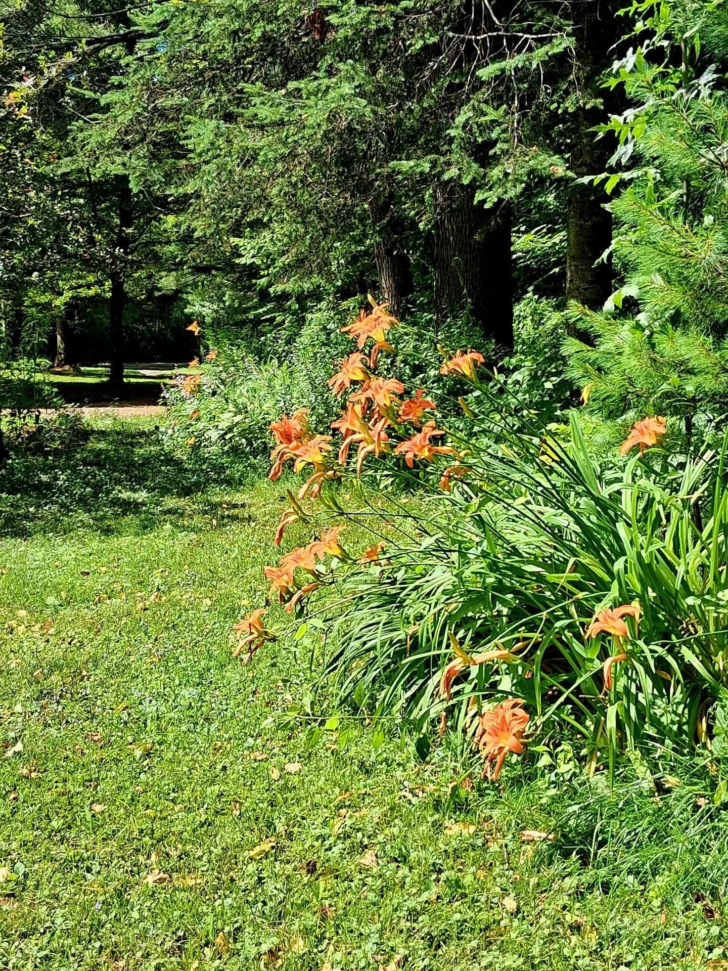 160 Heritage Lane Lyndon VT 05851