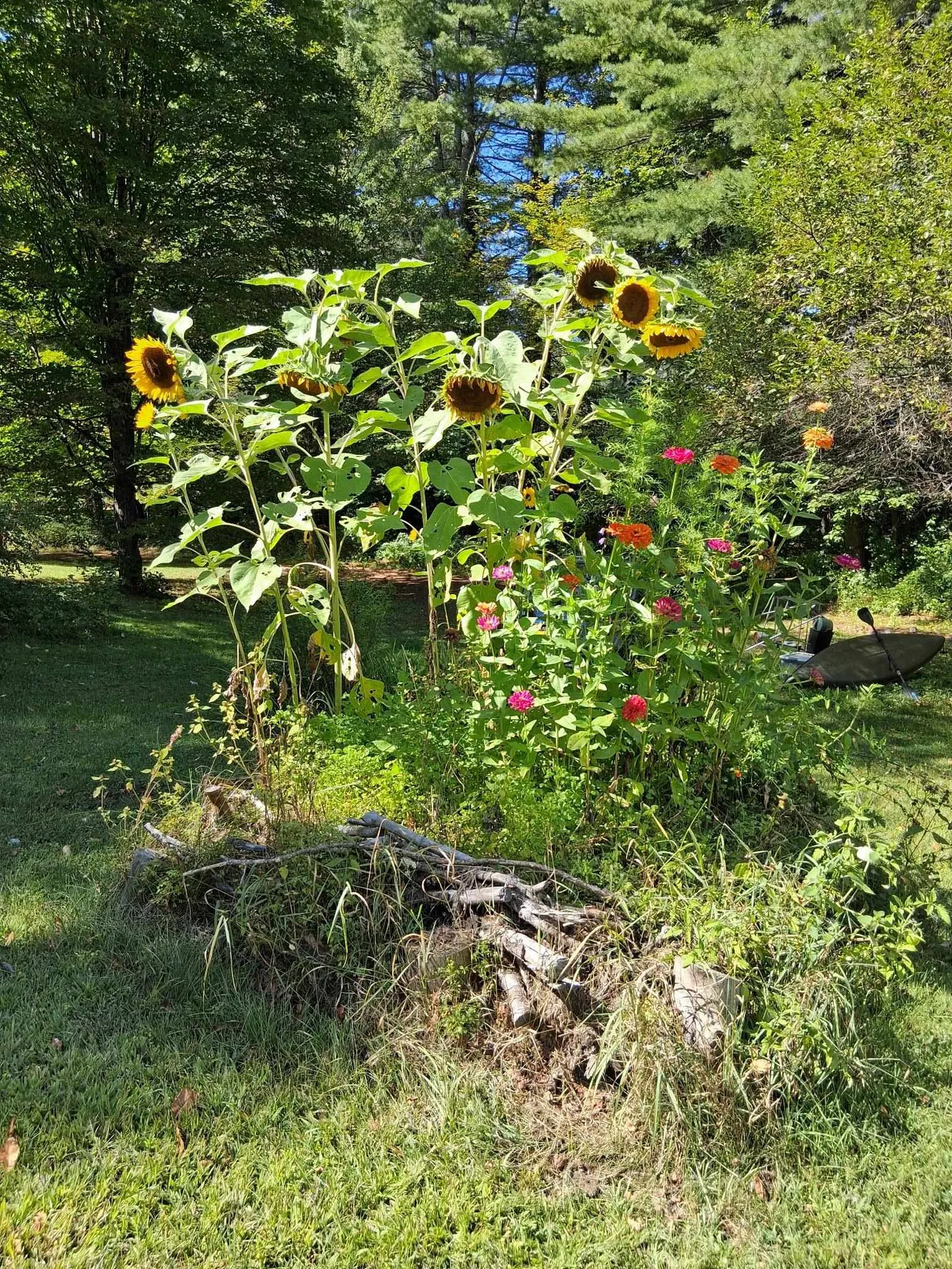 160 Heritage Lane Lyndon VT 05851