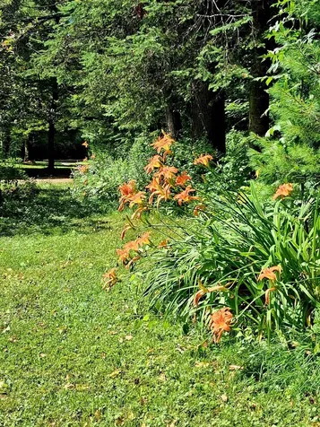 160 Heritage Lane Lyndon VT 05851