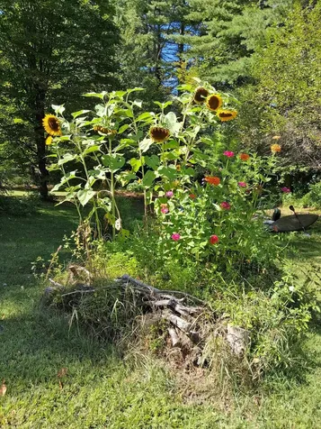 160 Heritage Lane Lyndon VT 05851