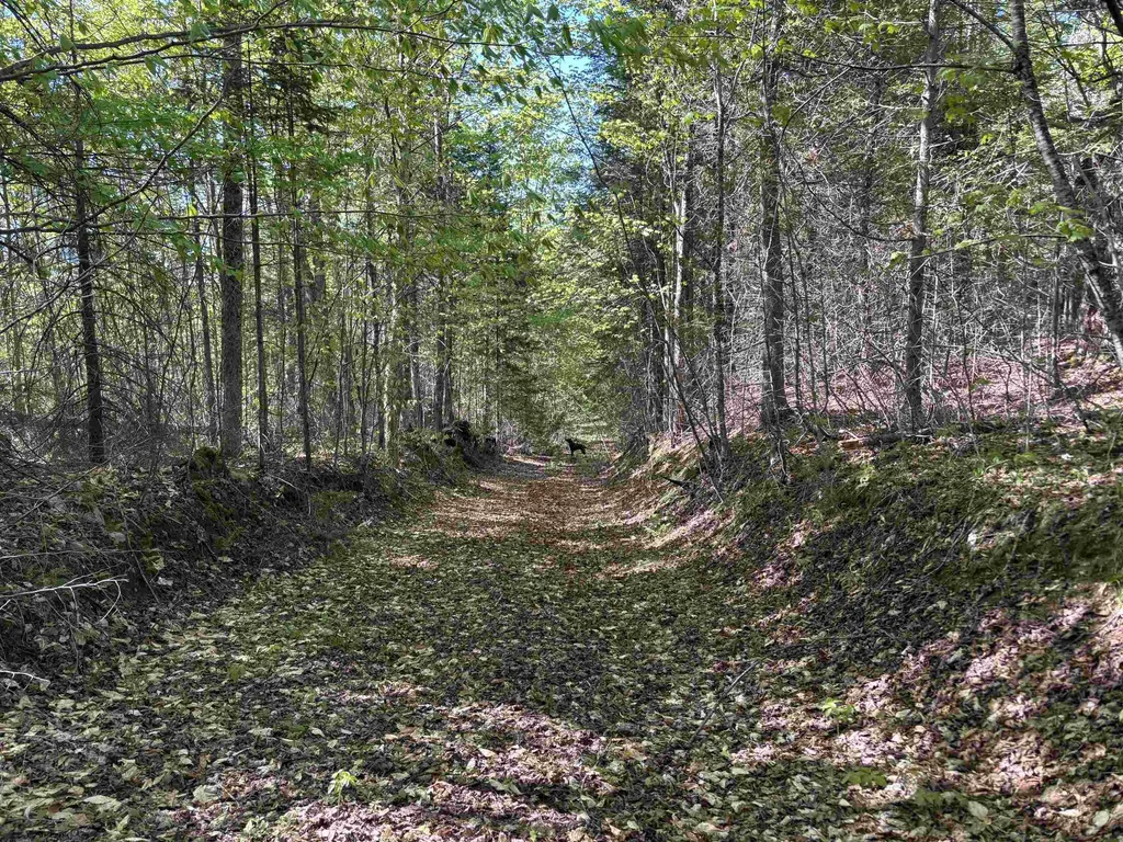2354 East Ridge Road Sutton VT 05871