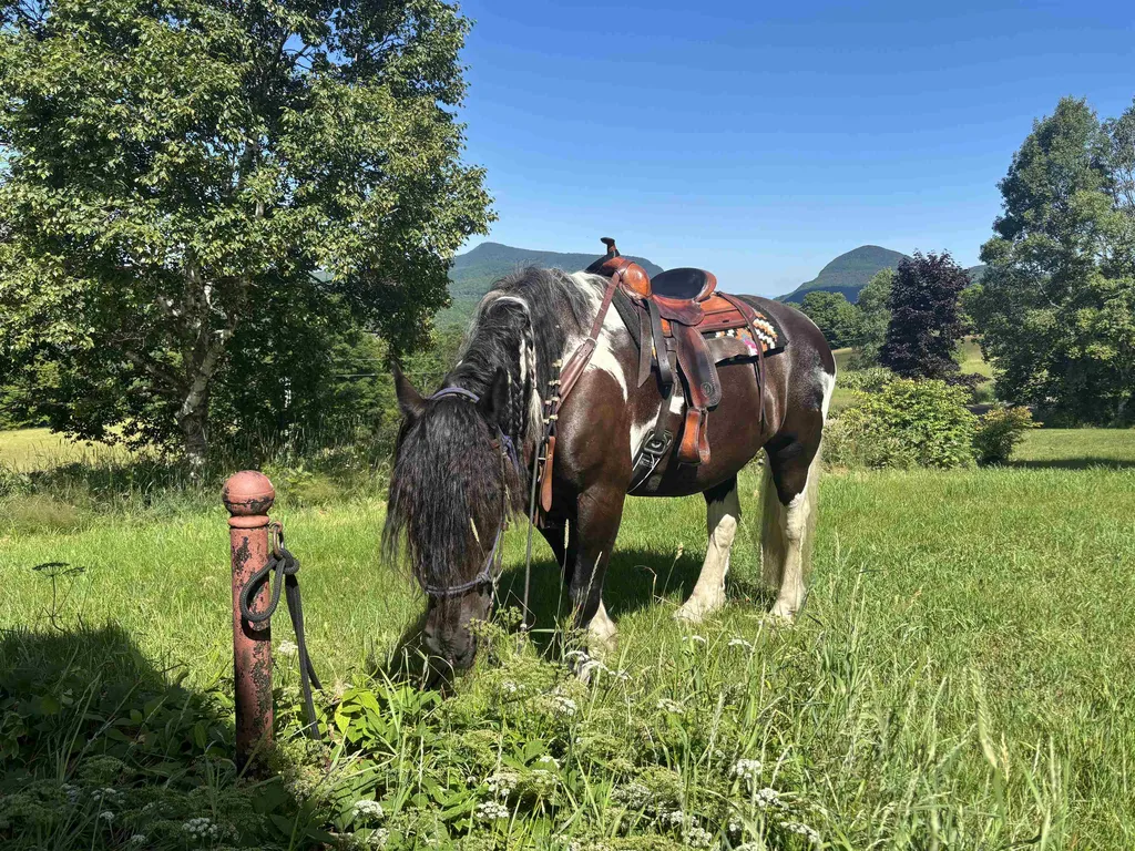 2354 East Ridge Road Sutton VT 05871