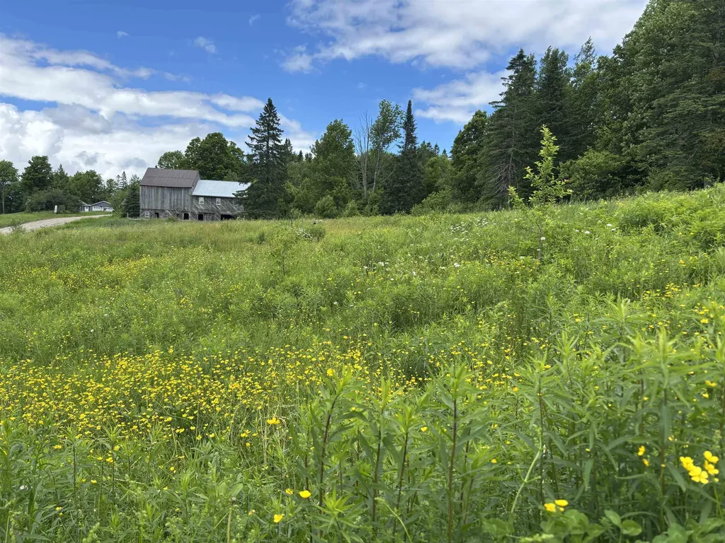 2354 East Ridge Road Sutton VT 05871