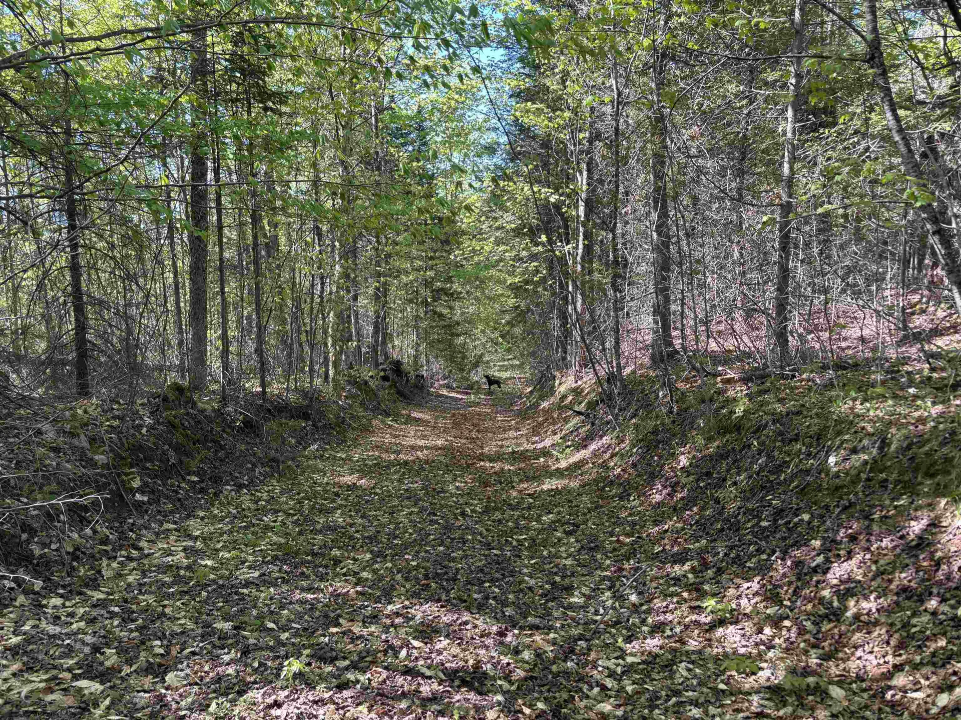 2354 East Ridge Road Sutton VT 05871