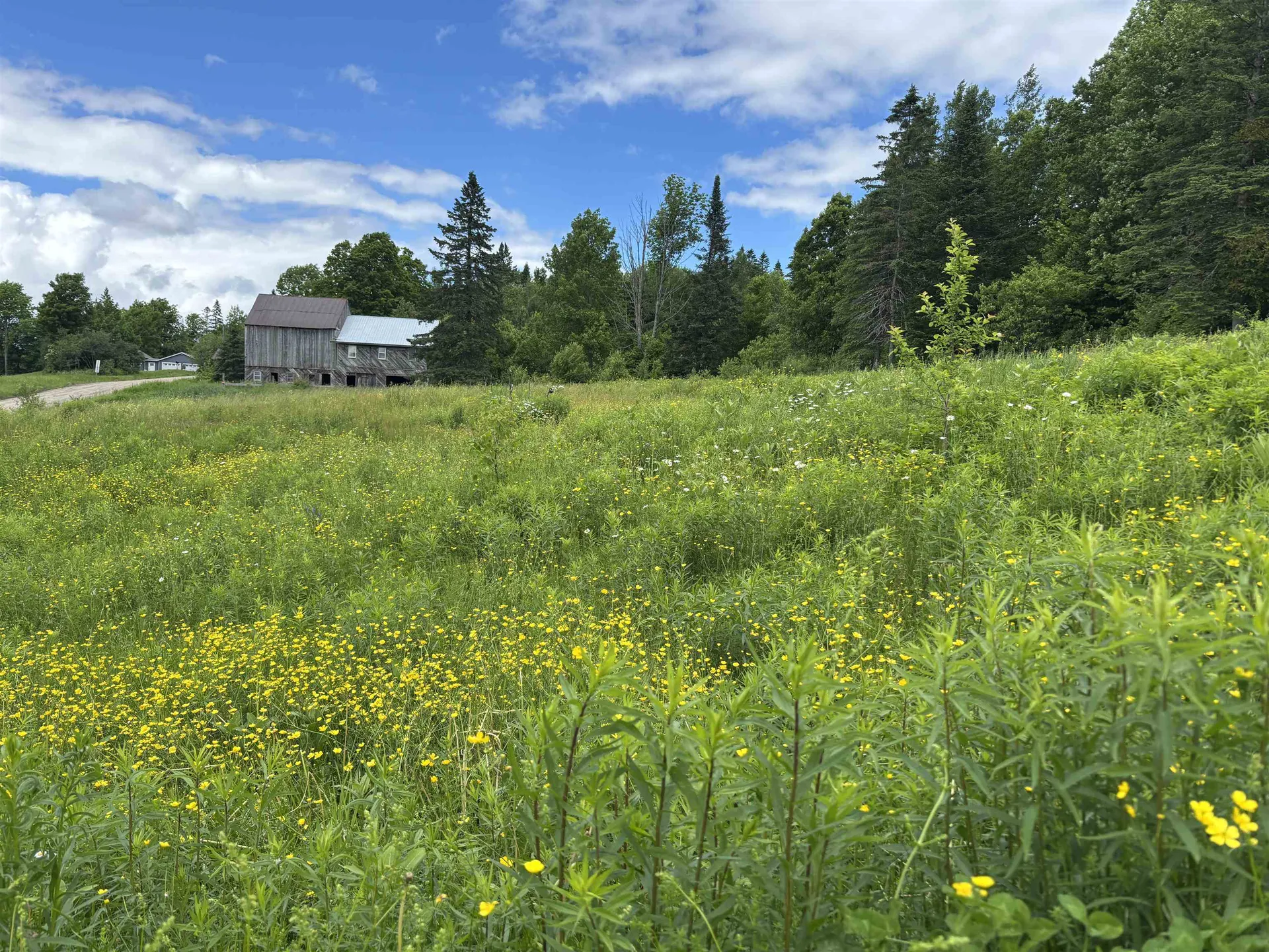 2354 East Ridge Road Sutton VT 05871