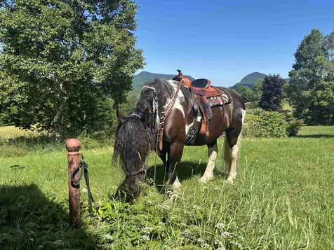2354 East Ridge Road Sutton VT 05871