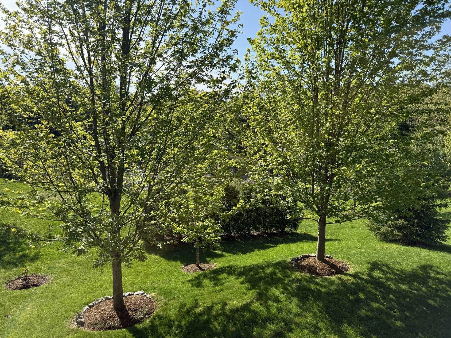 68 Laurentide Lane South Burlington VT 05403
