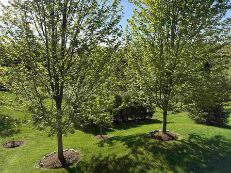 68 Laurentide Lane South Burlington VT 05403