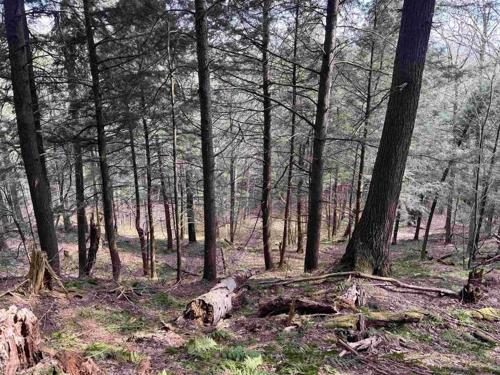 Tbd Buck Hill Road Westfield VT 05874