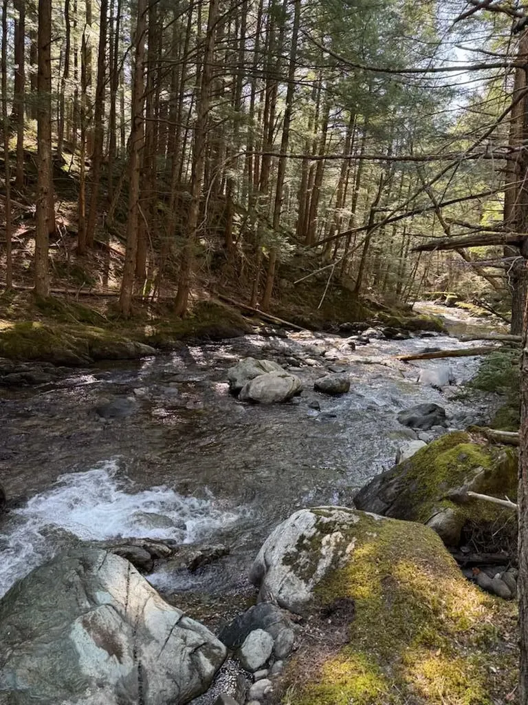 Tbd Buck Hill Road Westfield VT 05874