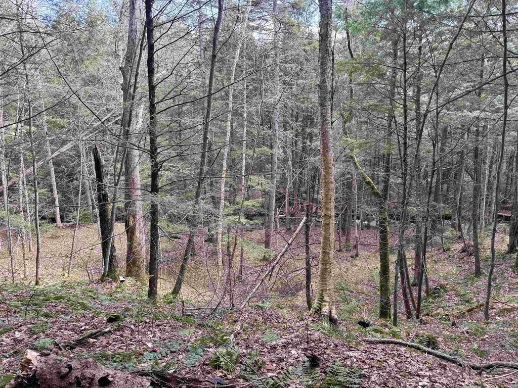 Tbd Buck Hill Road Westfield VT 05874
