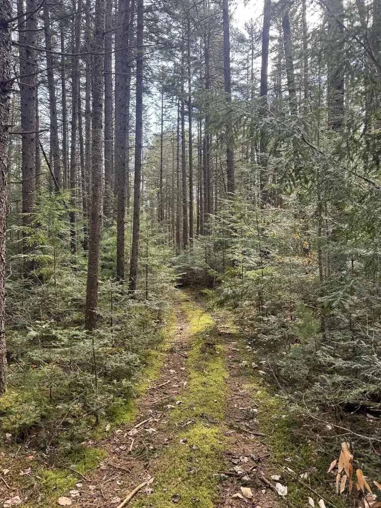 Tbd Buck Hill Road Westfield VT 05874