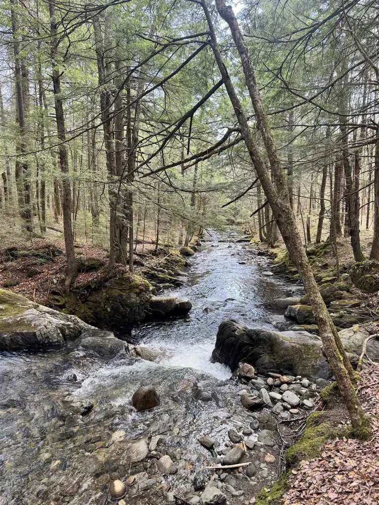 Tbd Buck Hill Road Westfield VT 05874
