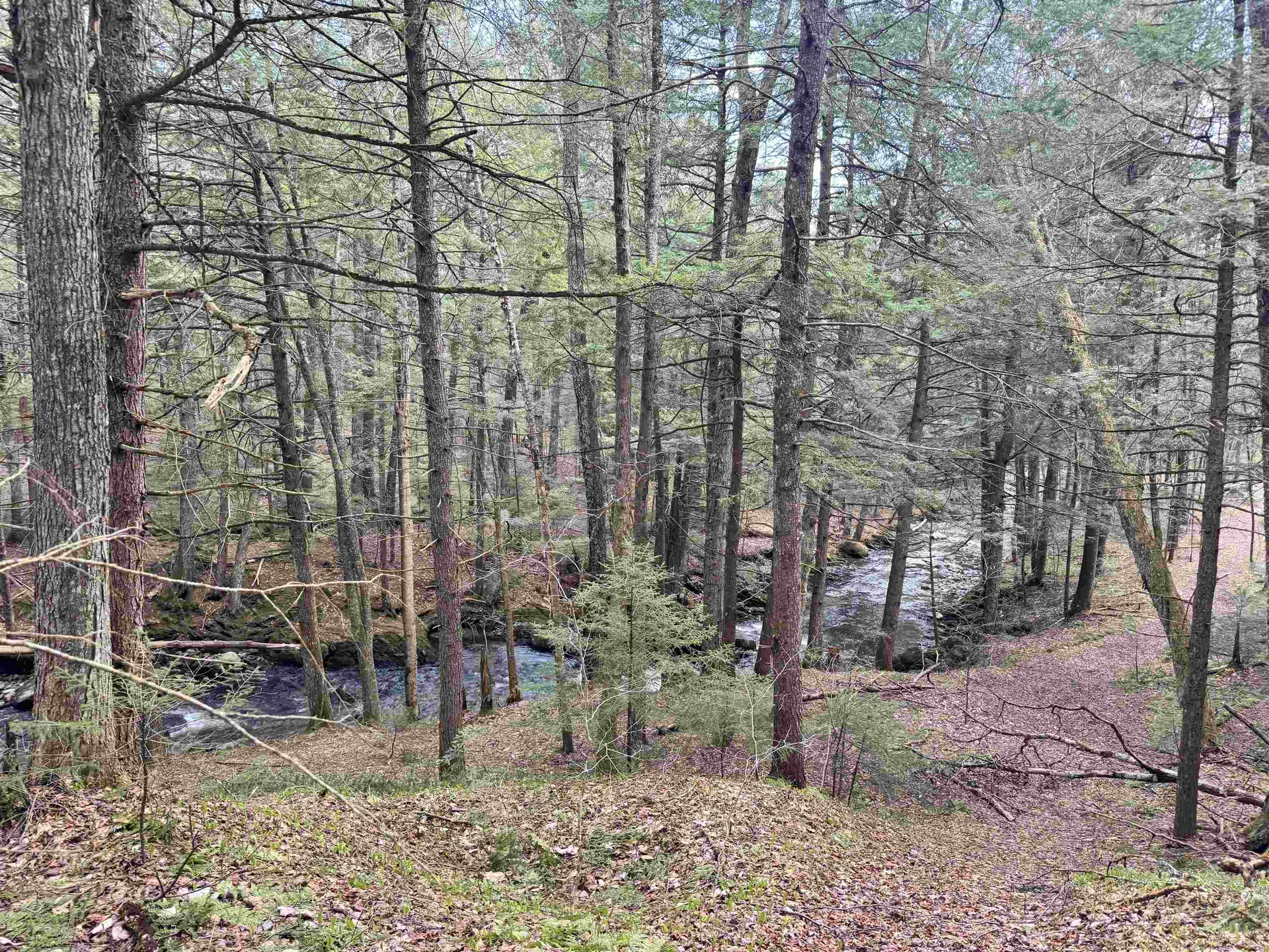 Tbd Buck Hill Road Westfield VT 05874