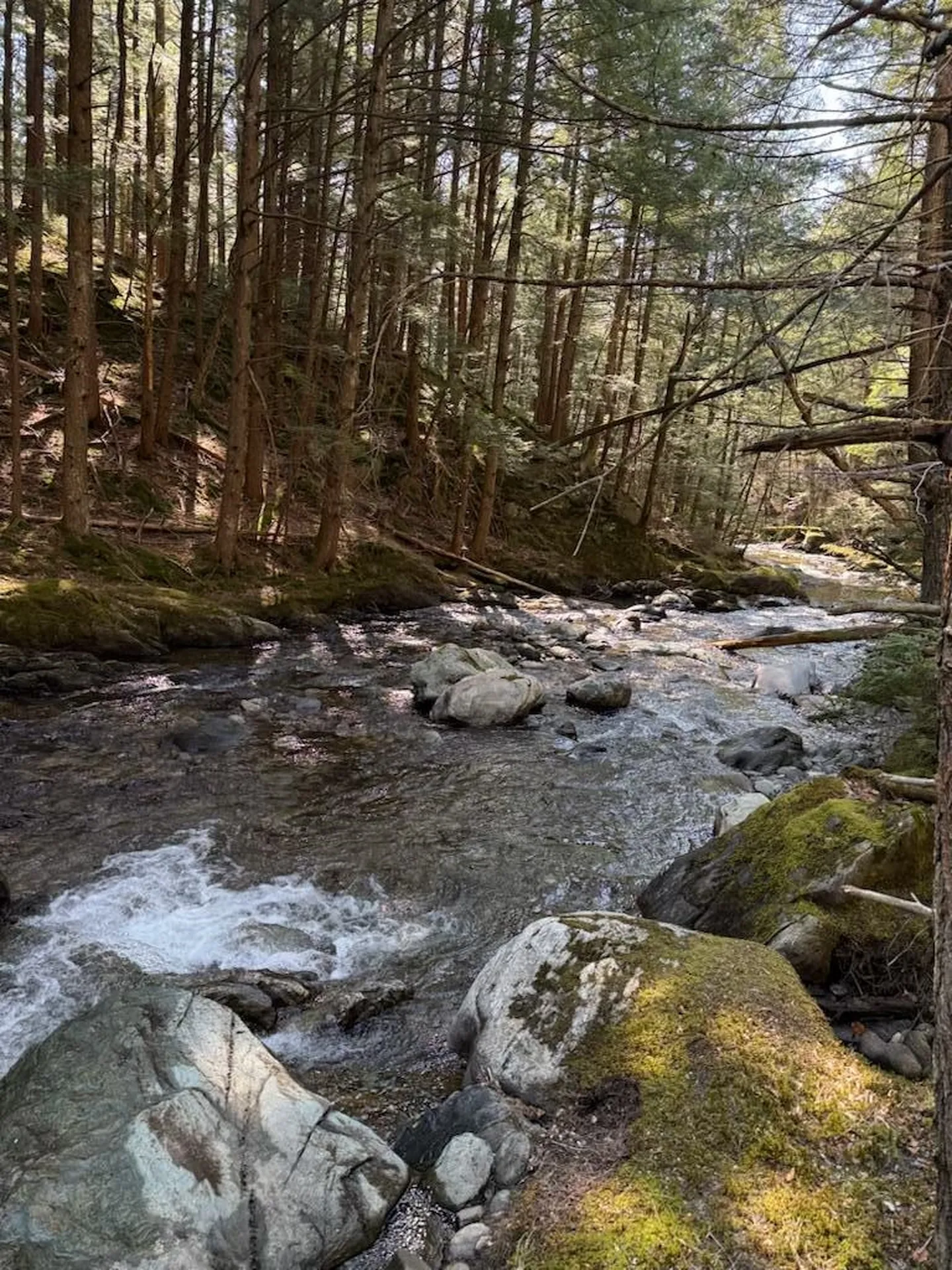 Tbd Buck Hill Road Westfield VT 05874
