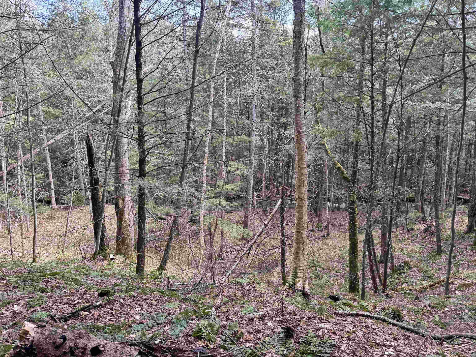 Tbd Buck Hill Road Westfield VT 05874