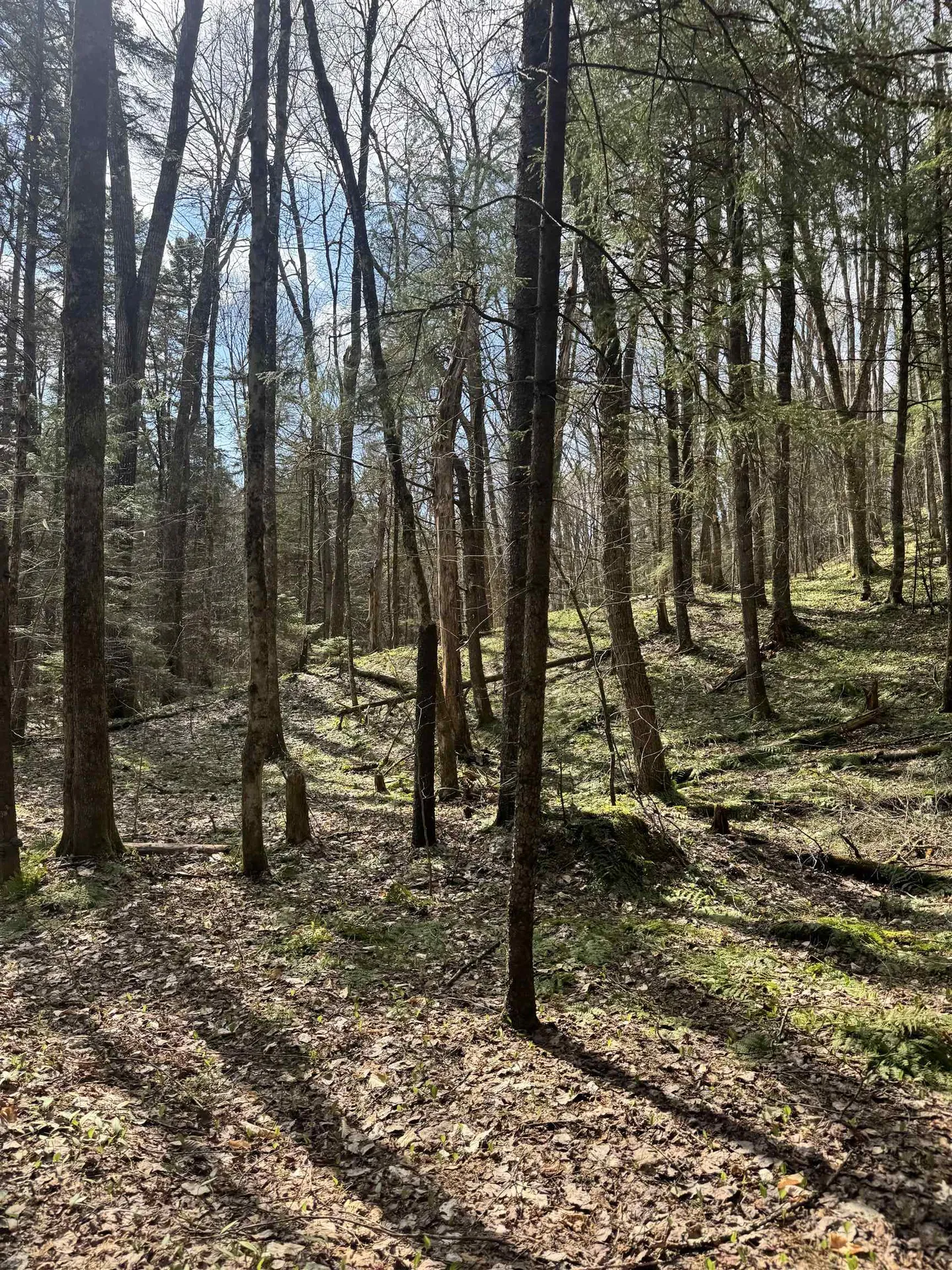 Tbd Buck Hill Road Westfield VT 05874