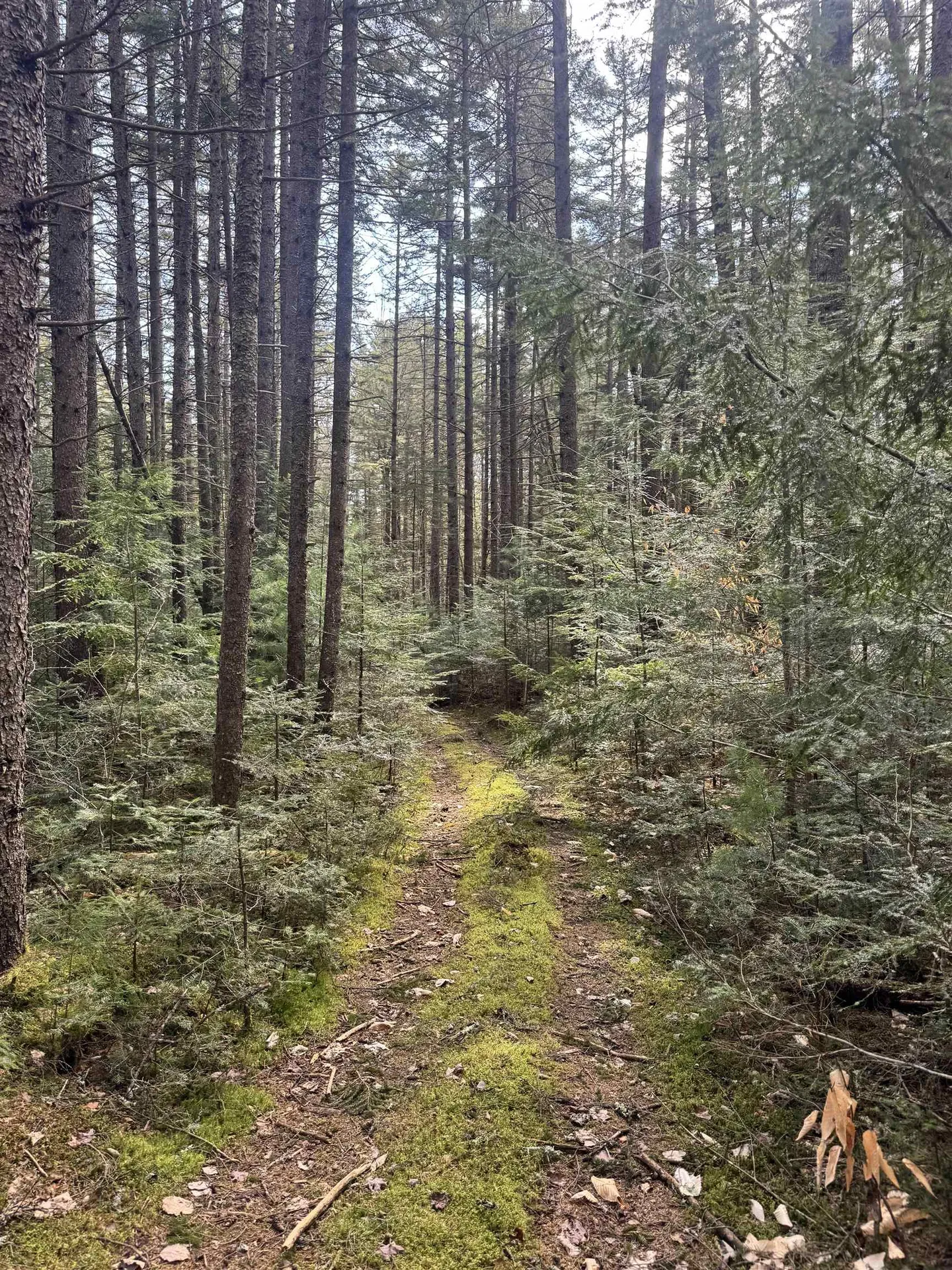 Tbd Buck Hill Road Westfield VT 05874