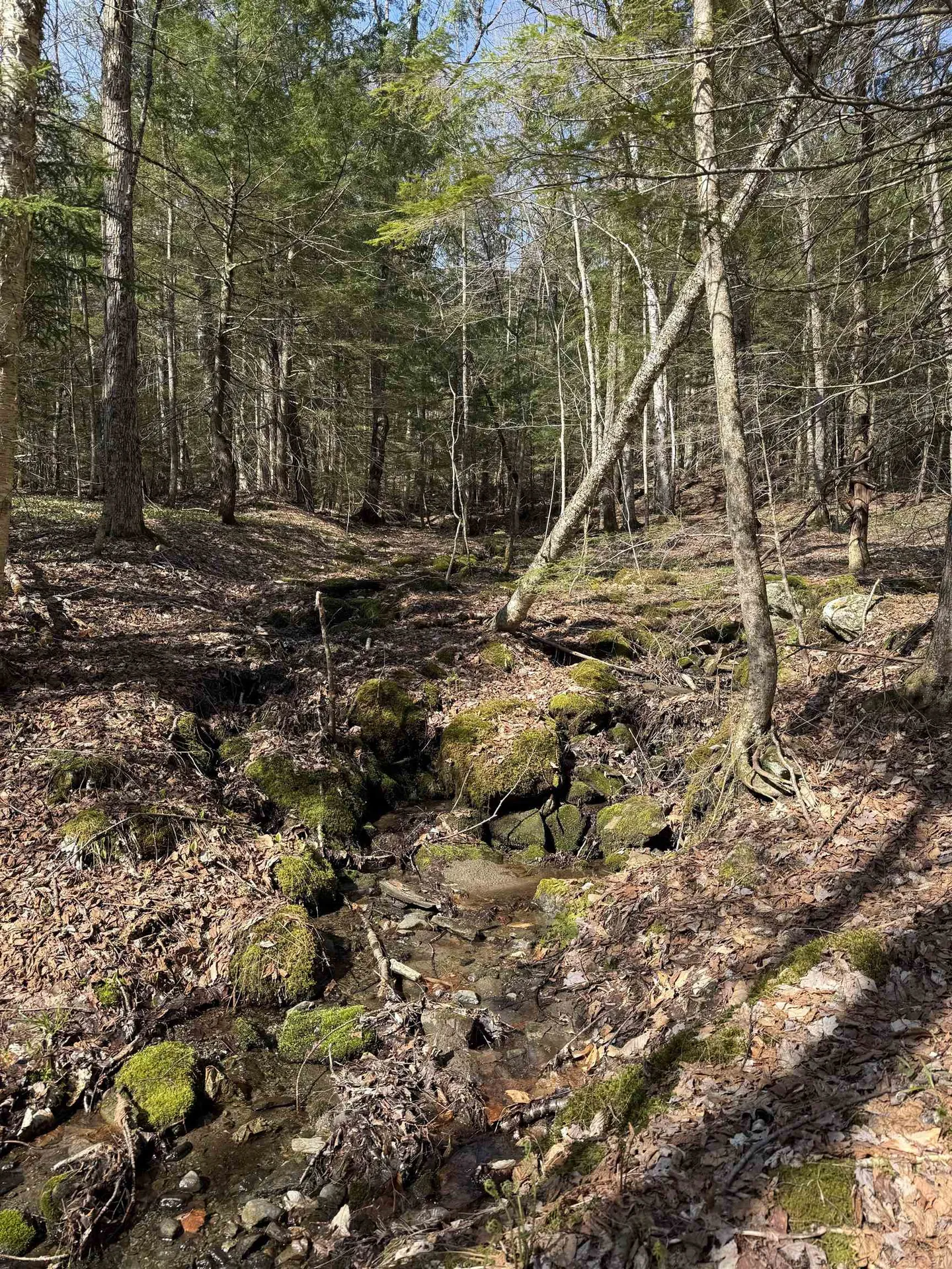 Tbd Buck Hill Road Westfield VT 05874