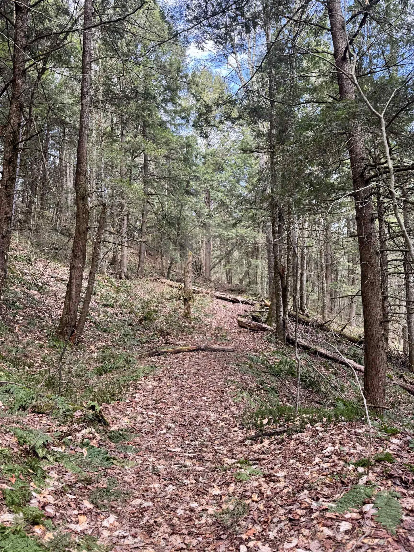 Tbd Buck Hill Road Westfield VT 05874