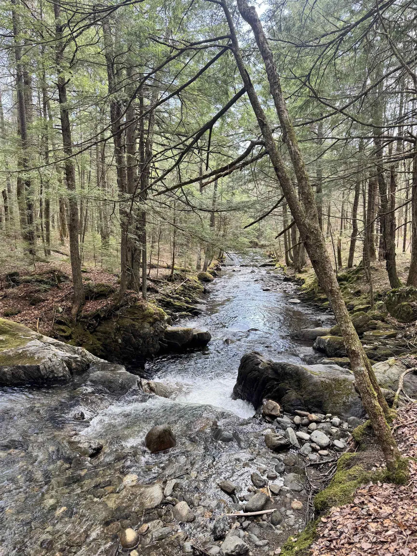 Tbd Buck Hill Road Westfield VT 05874