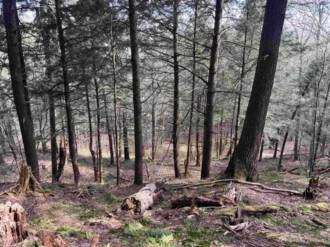Tbd Buck Hill Road Westfield VT 05874