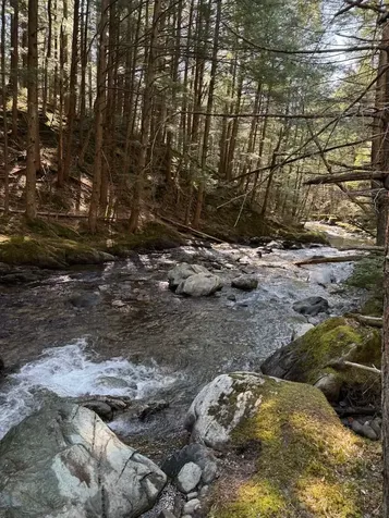 Tbd Buck Hill Road Westfield VT 05874