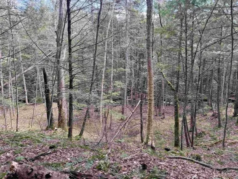 Tbd Buck Hill Road Westfield VT 05874
