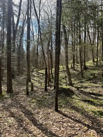 Tbd Buck Hill Road Westfield VT 05874