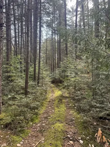 Tbd Buck Hill Road Westfield VT 05874