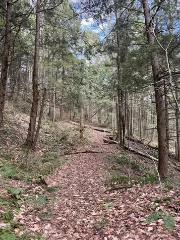 Tbd Buck Hill Road Westfield VT 05874