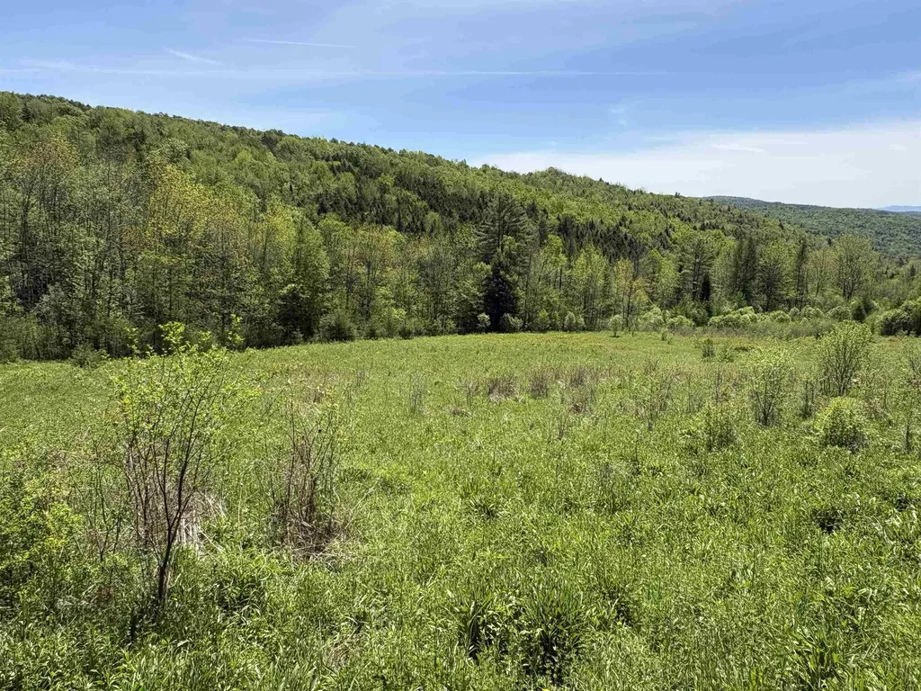 0000 Bear Hill Road Brookfield VT 05036