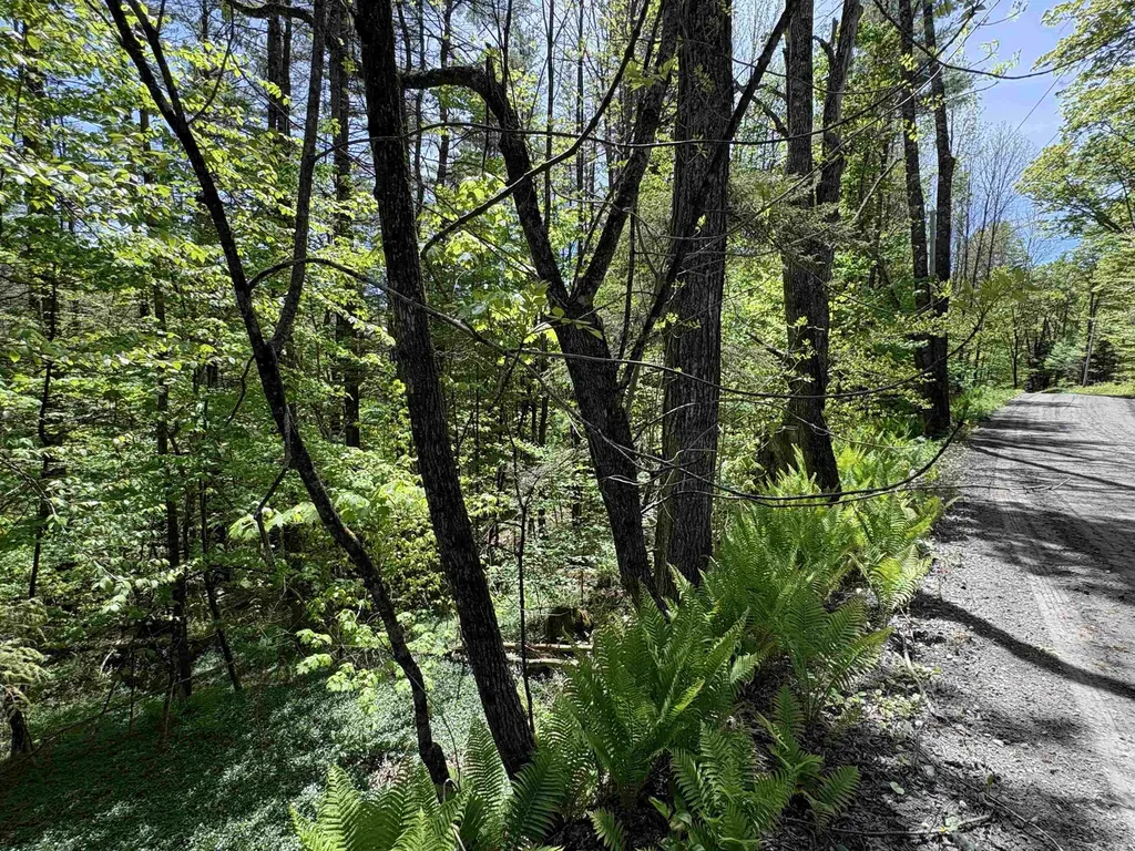 0000 Bear Hill Road Brookfield VT 05036