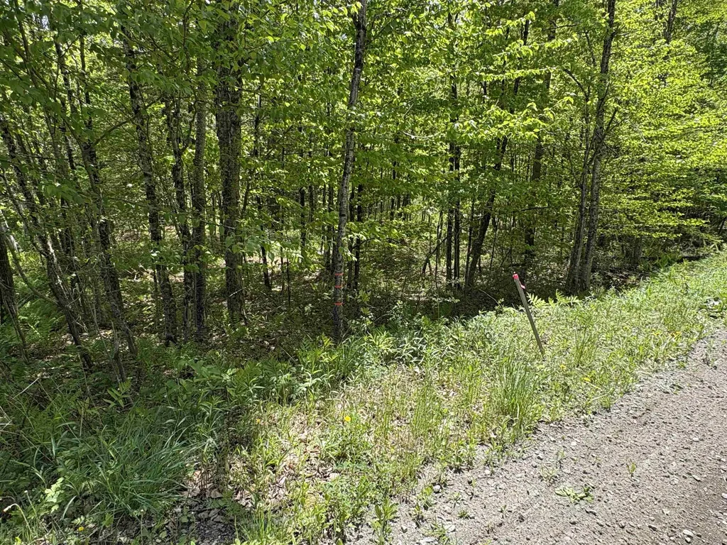 0000 Bear Hill Road Brookfield VT 05036