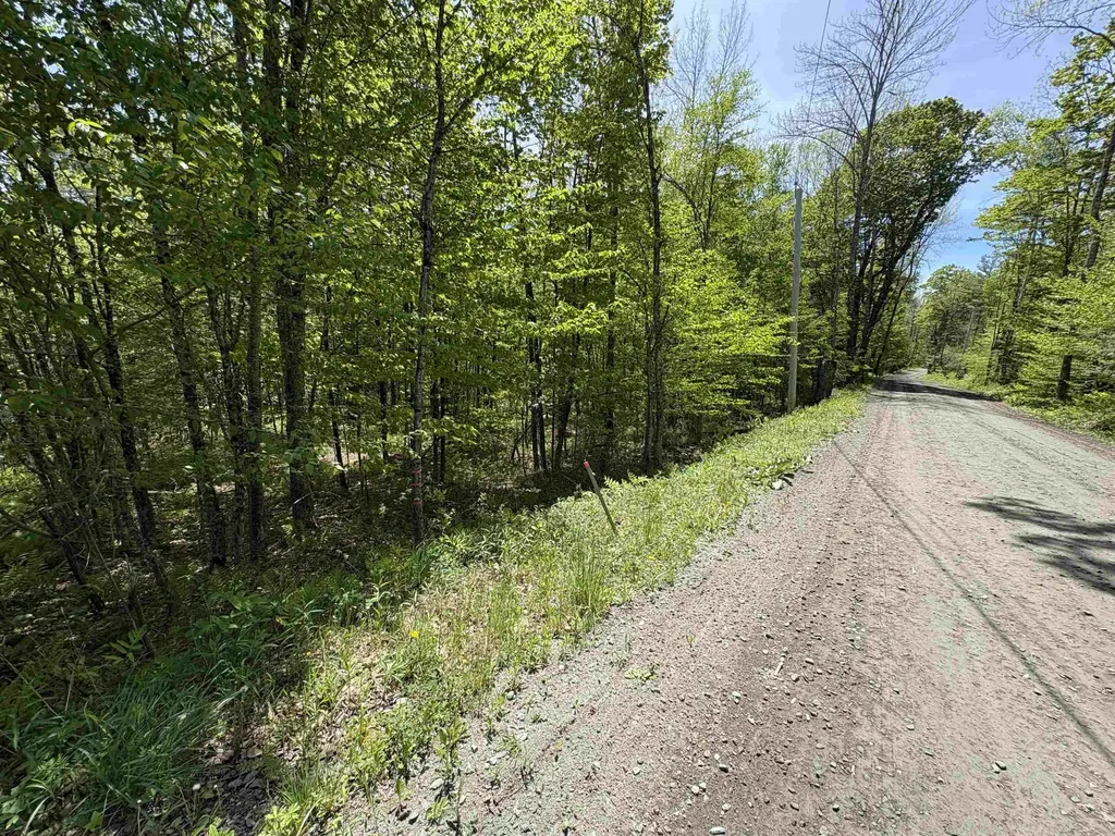 0000 Bear Hill Road Brookfield VT 05036