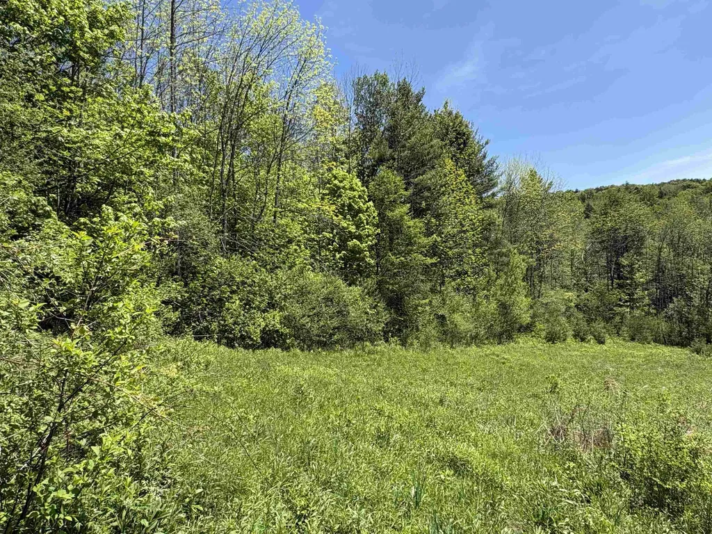 0000 Bear Hill Road Brookfield VT 05036