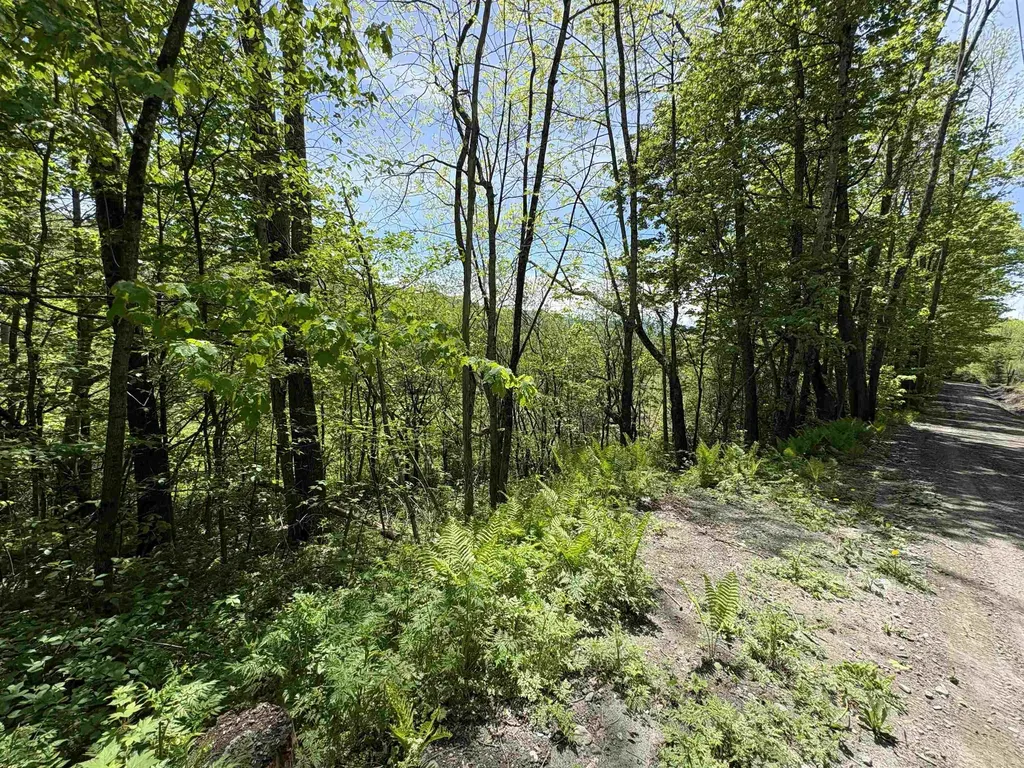 0000 Bear Hill Road Brookfield VT 05036