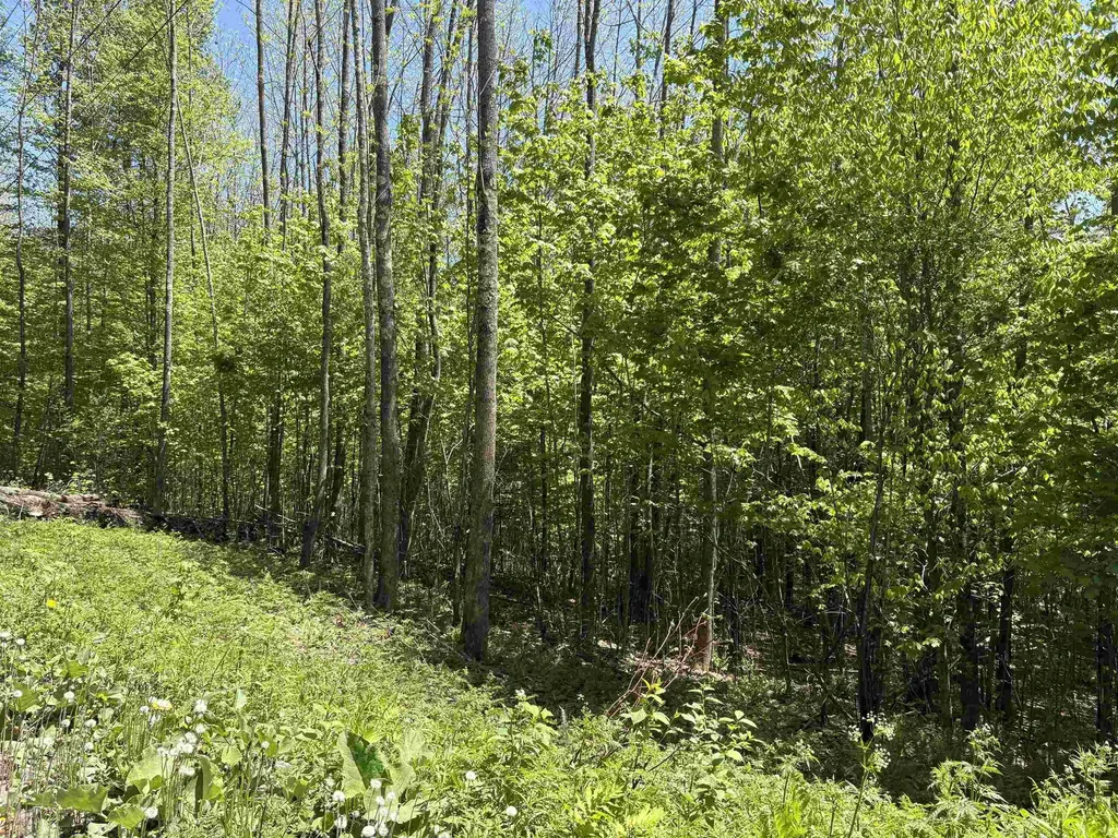 0000 Bear Hill Road Brookfield VT 05036