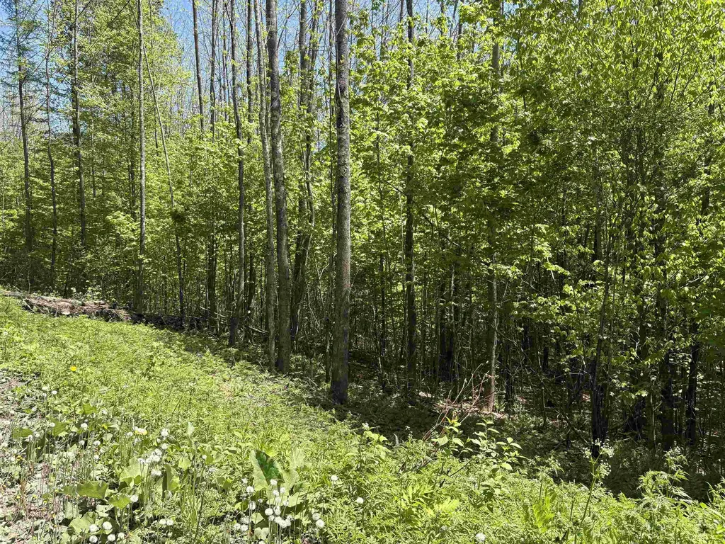 0000 Bear Hill Road Brookfield VT 05036