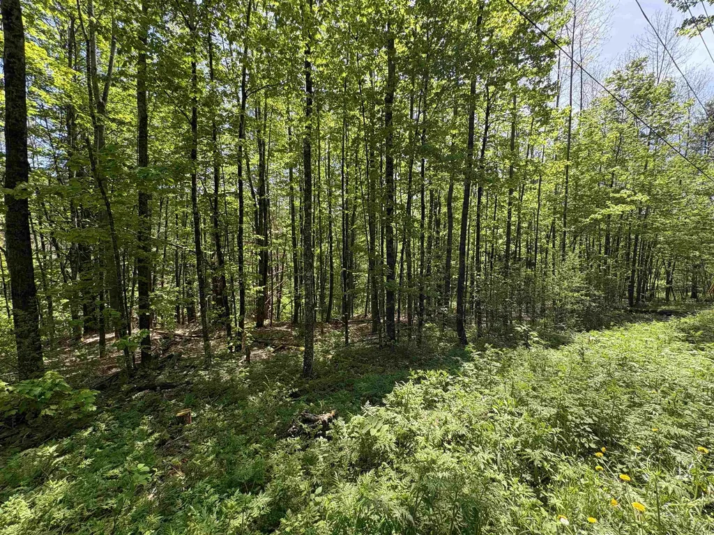 0000 Bear Hill Road Brookfield VT 05036