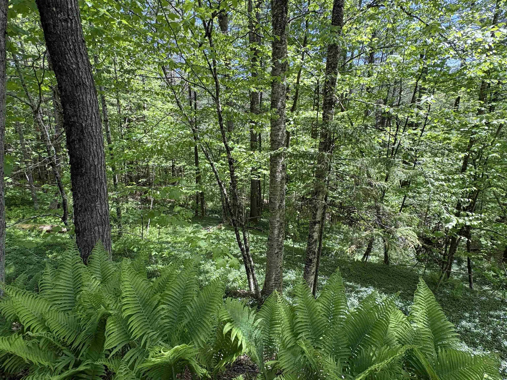 0000 Bear Hill Road Brookfield VT 05036