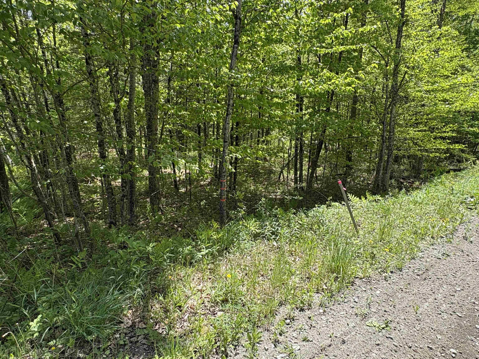 0000 Bear Hill Road Brookfield VT 05036
