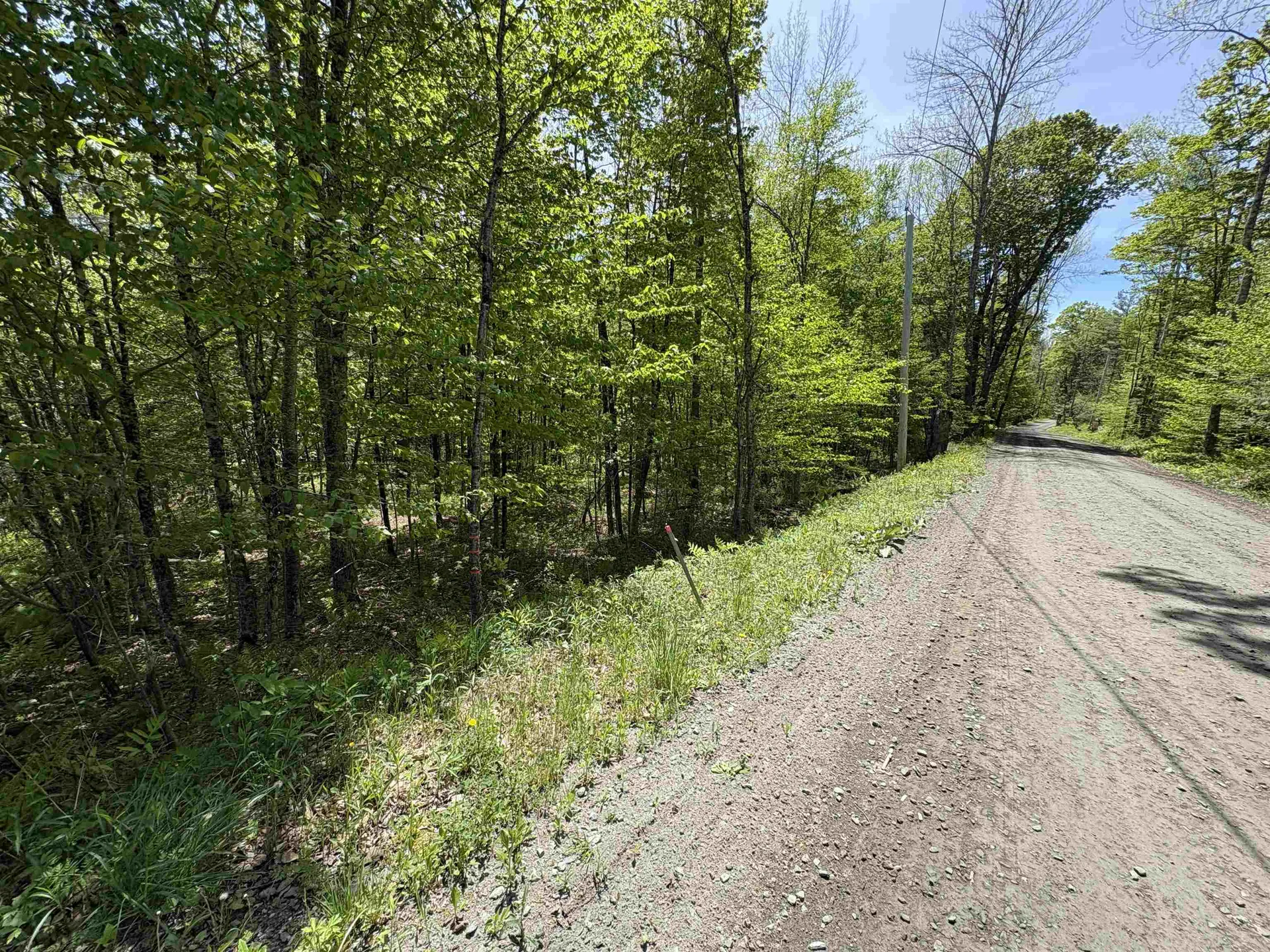 0000 Bear Hill Road Brookfield VT 05036