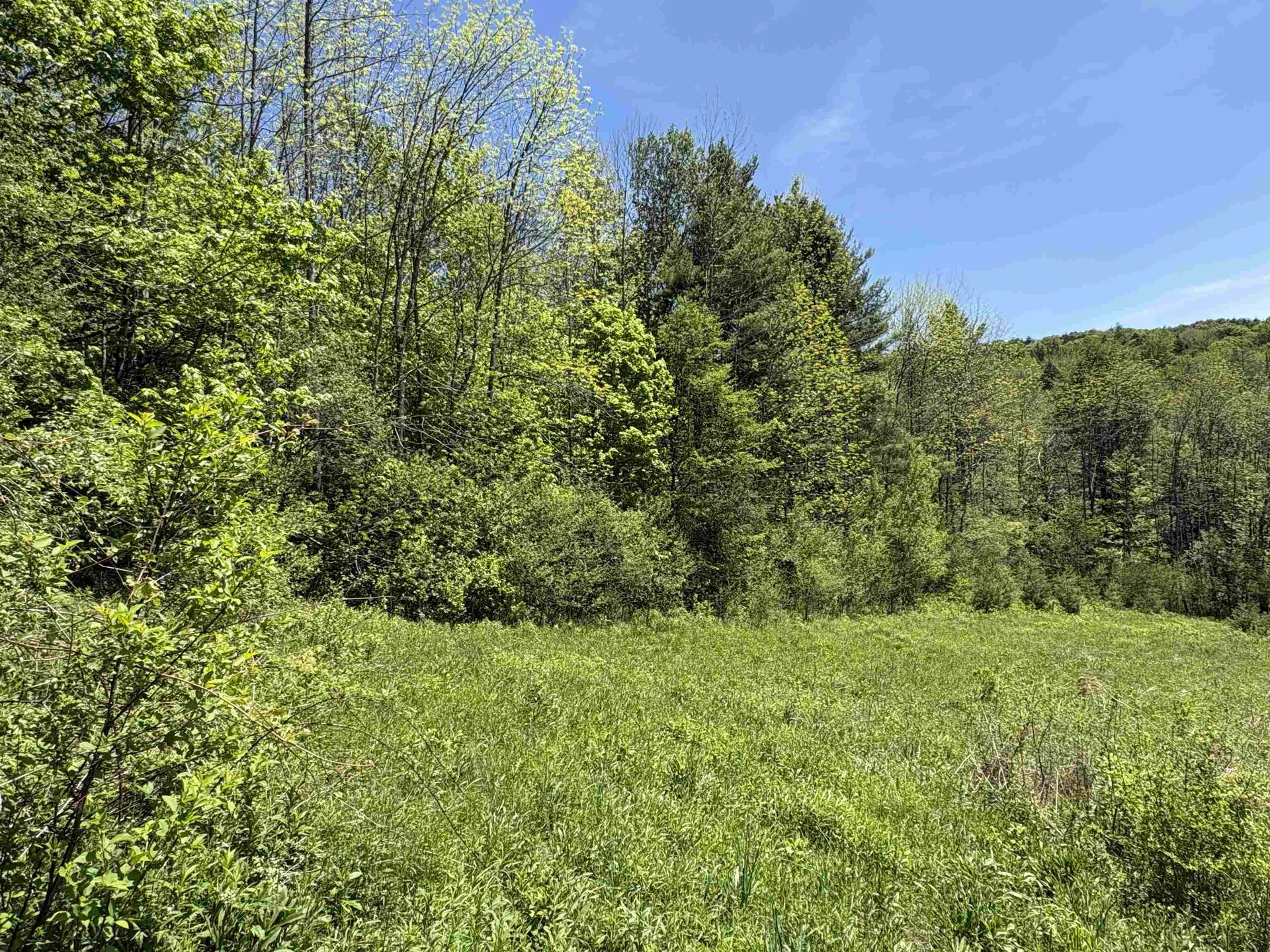 0000 Bear Hill Road Brookfield VT 05036