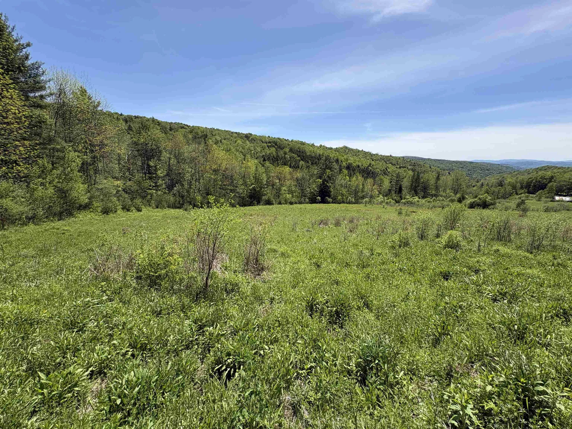 0000 Bear Hill Road Brookfield VT 05036